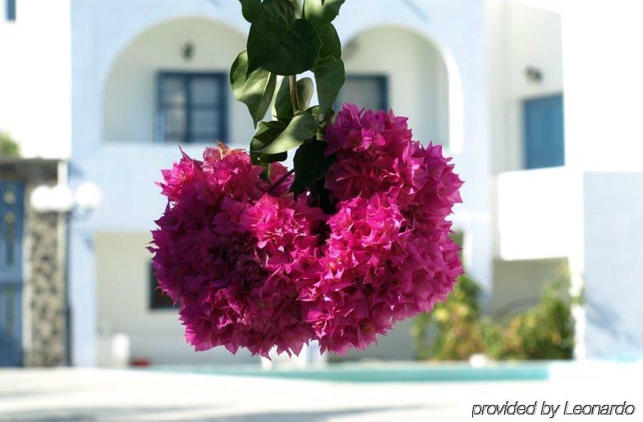 Kalma 3* Messaria (Santorini)